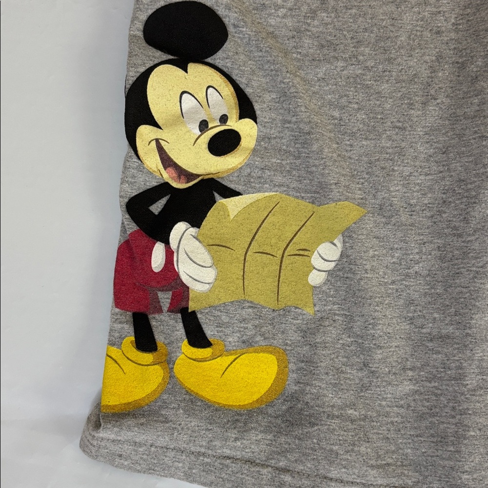 Disneyland 2019 Mickey Mouse Pluto Goofy Donald Graphic Tee Gray Size Small - Picture 3 of 7